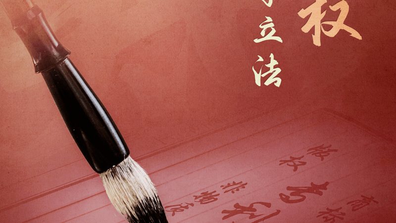 发明专利与实用新型专利审查周期解析：差异与影响